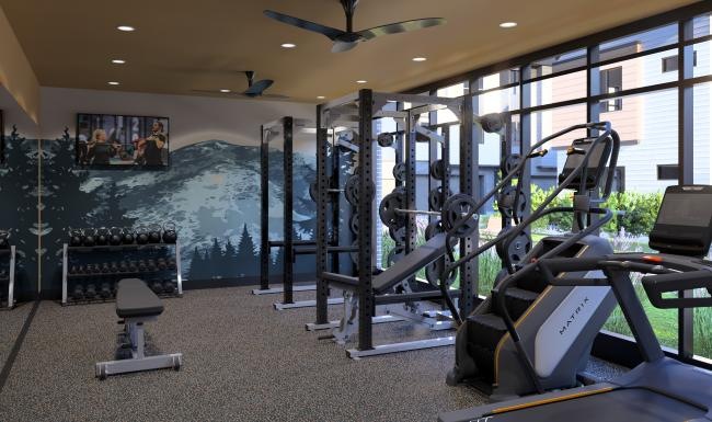 Get your workout on a gym with exercise equipment